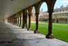 Photograph  the backs trinity college   Cambridge