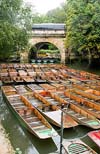 Boats at Botanic Gardens  Oxford